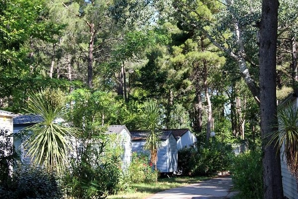 /campings/francia/languedoc-rosellon/pirineos-orientales/Taxo Les Pins/camping-taxo-les-pins-1483309420-xl.jpg